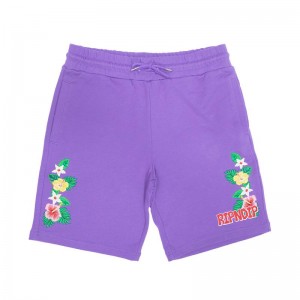 Ripndip Aloha Nerm Sweat Shortsit Laventeli | FIT3229C