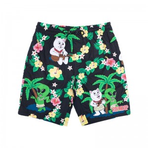 Ripndip Aloha Nerm Swim Shortsit Mustat | FIQ3225M