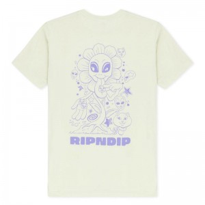 Ripndip Dance Forever Paidat Vaaleanvihreä | FID3282F