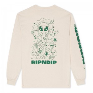 Ripndip Dance Forever Pitkähihainen Beige | FIS3475G