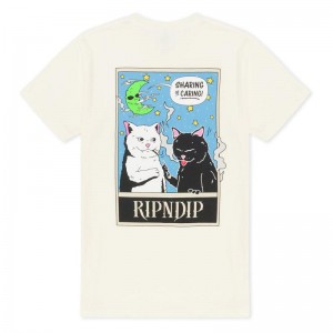 Ripndip Friends Share Paidat Beige | FIL3270I