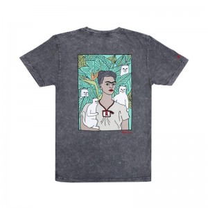 Ripndip Nermal Portrait Paidat Harmaat Pesu | FIQ3367M