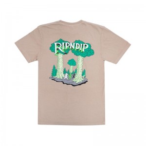 Ripndip Strange Forest Paidat Khaki | FIK3313O