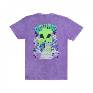 Ripndip The Unknown Paidat Violetit Pesu | FIU3328Z