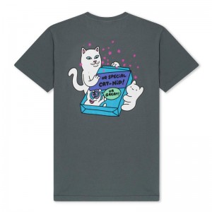 Ripndip Ur Special Cat Nip Paidat Harmaat | FIE3298B