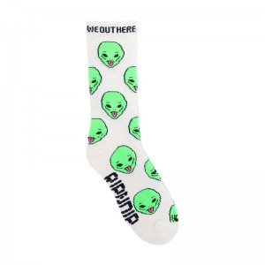 Ripndip We Out Here Sukat Kerma | FIC3727T